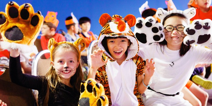 精神周活动图片